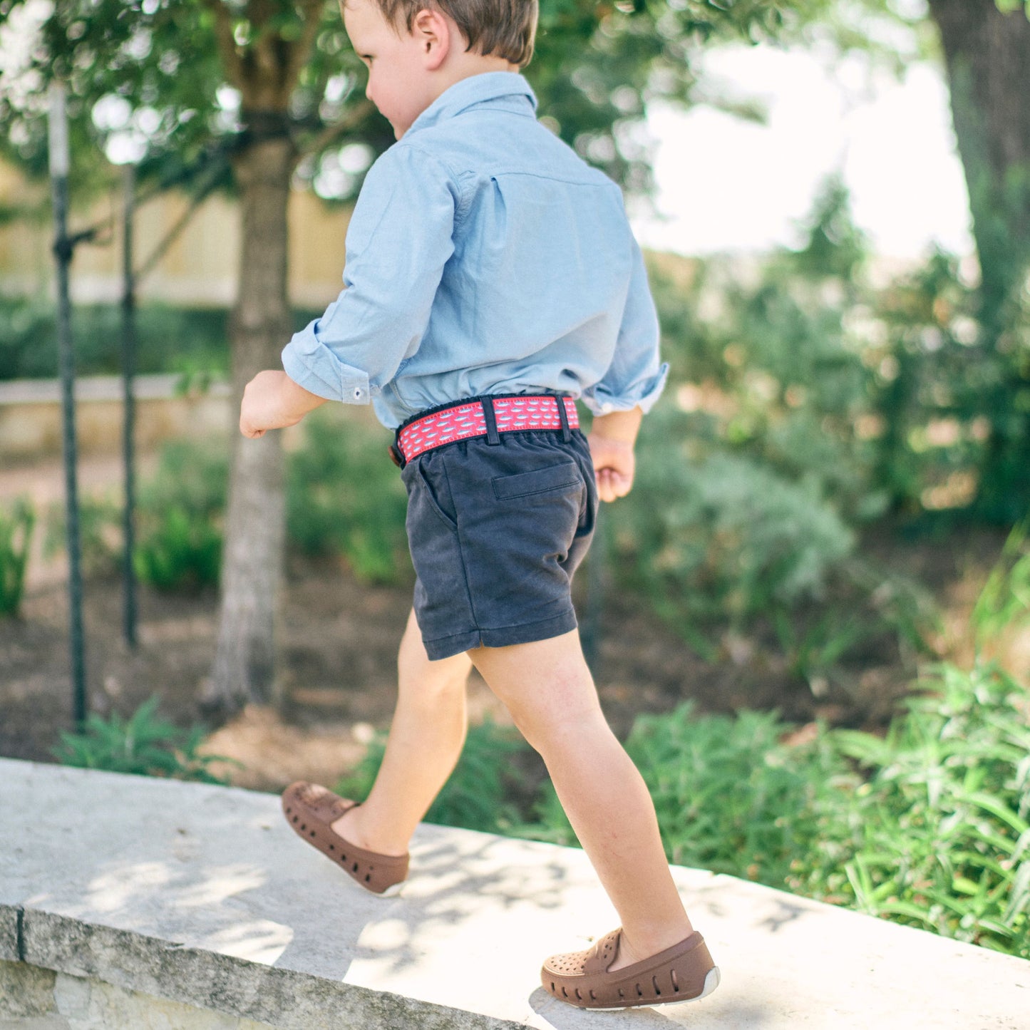 Twilight Trek Scout Short